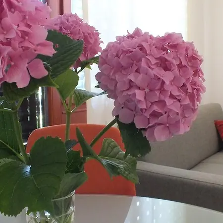 Apartment Jurdana Kastav
